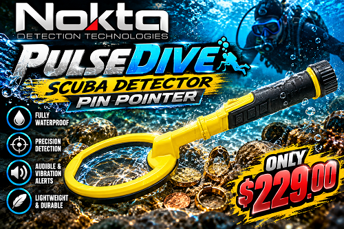 Pulsedive Scuba Detector & Pointer 2-1 Set